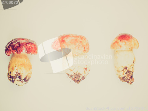 Image of Retro look Porcini Mushroom