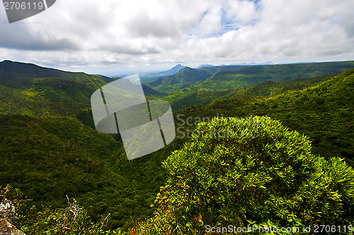 Image of   river mountain  in mauritius 