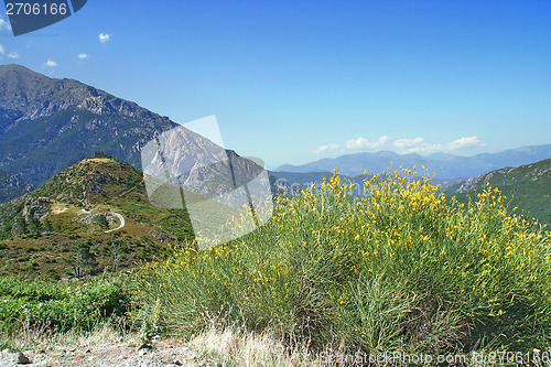 Image of Landscape in Corsica