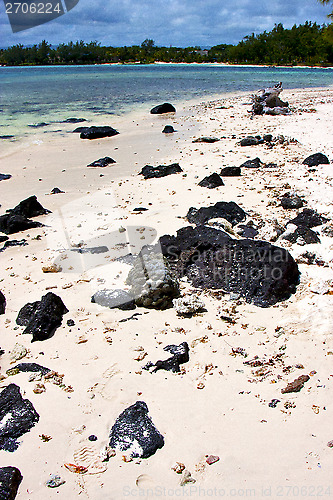 Image of   bay foam footstep indian ocean 