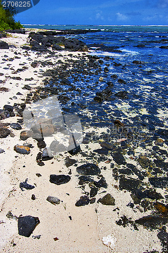 Image of blue bay  footstep indian ocean  