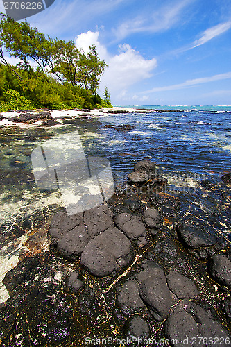 Image of  blue bay foam   deus cocos in mauritius 