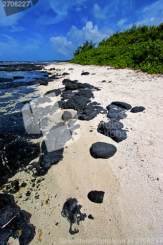 Image of  blue bay foam footstep indian ocean some stone in the island of