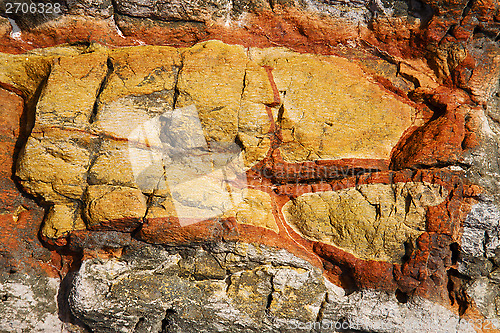 Image of abstract lanzarote   lichens 