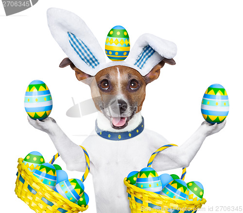 Image of dog easter bunny