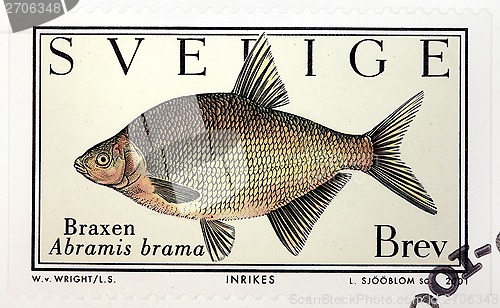 Image of Common Bream Stamp