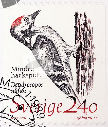 Image of Woodpecker Stamp