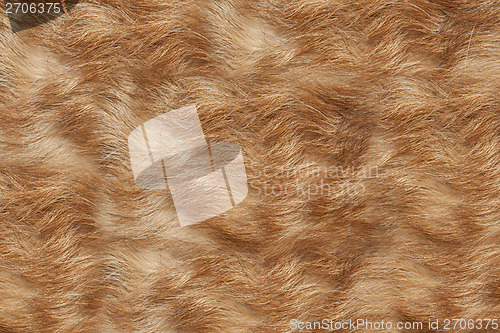 Image of Texture wool red dog 