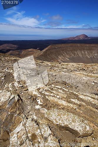 Image of timanfaya vulcanic  lanzarote  plant flower bush