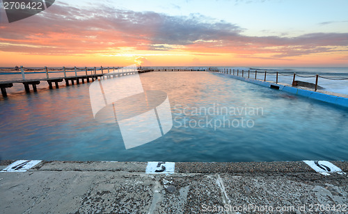 Image of Sunrise Swim North Narrabeen