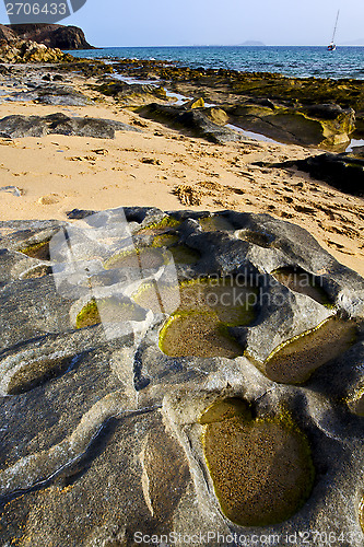 Image of in lanzarote  spain coastline rock beach  