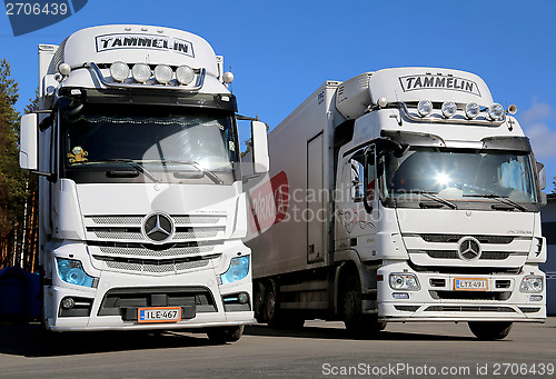 Image of White Mercedes-Benz Actros Trucks on a Yard