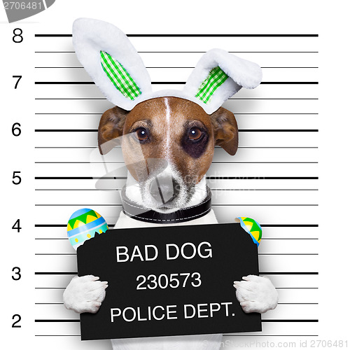 Image of easter mugshot dog