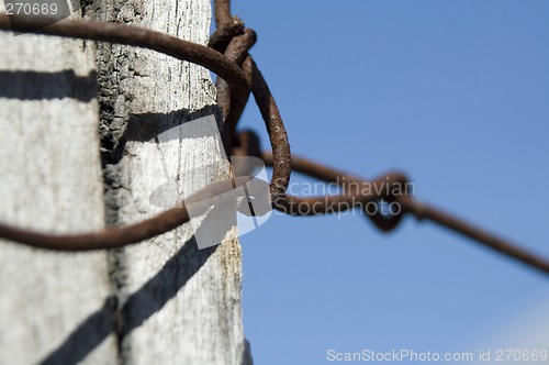 Image of Rusty Wire