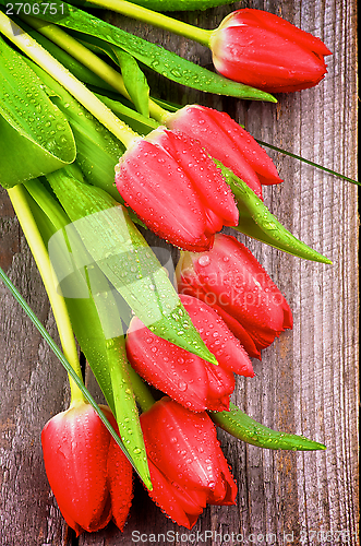 Image of Red Tulips