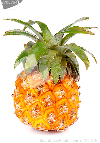 Image of Pineapple