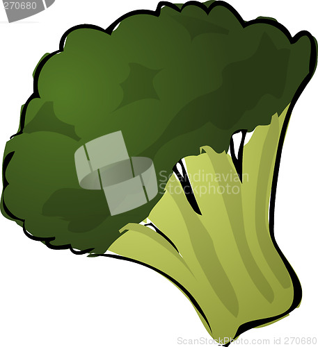 Image of Brocolli