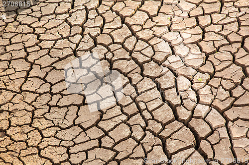 Image of dried and cracked earth