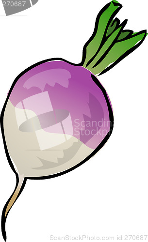 Image of Turnip