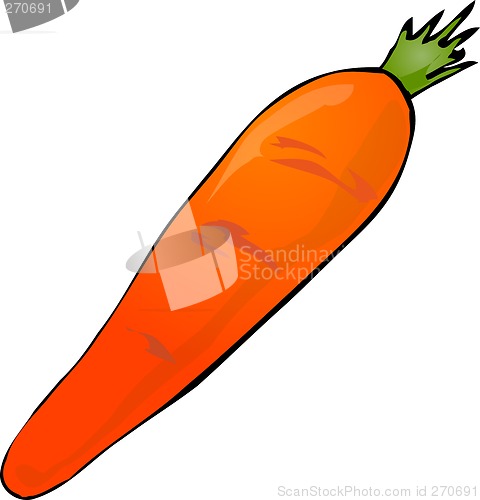 Image of Carrot