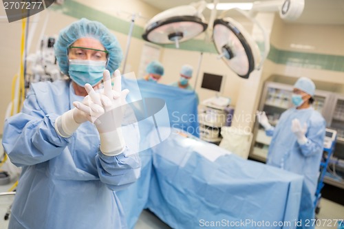 Image of Female Surgeon Adjusting Sterile Gloves