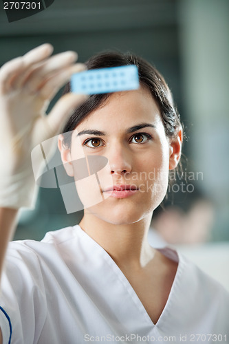 Image of Scientist Analyzing Microscope Slide