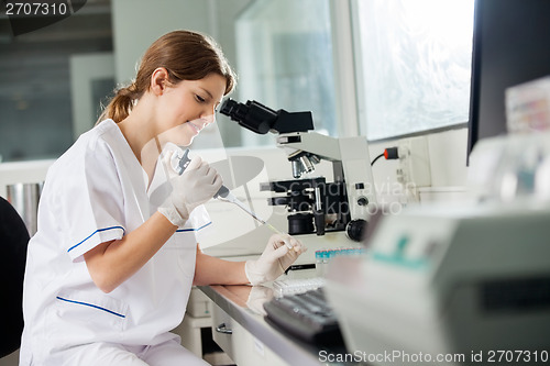 Image of Researcher Using Pipette In Laboratory