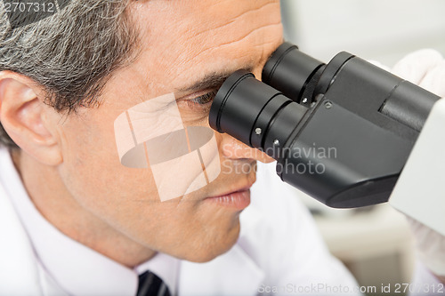 Image of Scientist Using Microscope In Lab