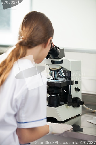 Image of Scientist Looking Through Microscope
