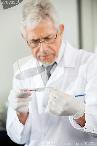 Image of Technician Examining Microtiter Plate