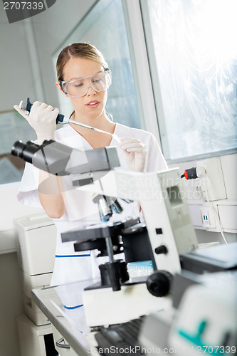 Image of Scientist Filling Liquid Into Test Tube In Lab