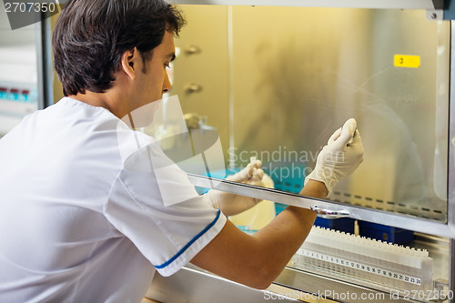 Image of Technician Experimenting In Laboratory