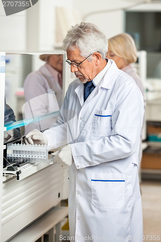 Image of Technician Loading Analyzer With Samples