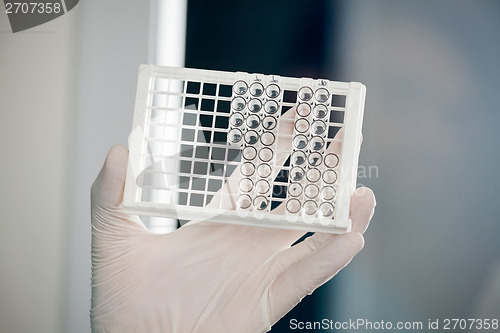 Image of Technician Holding Rack Of Test Tubes In Lab