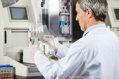 Image of Scientist Examining Urine Samples In Lab