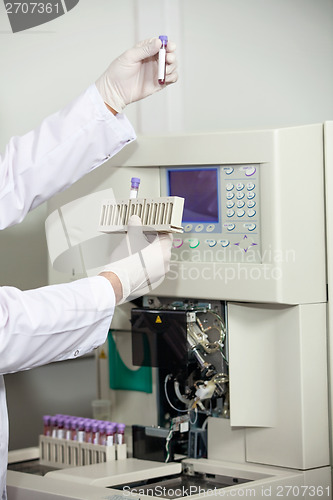 Image of Scientist Analyzing Blood Sample In Laboratory