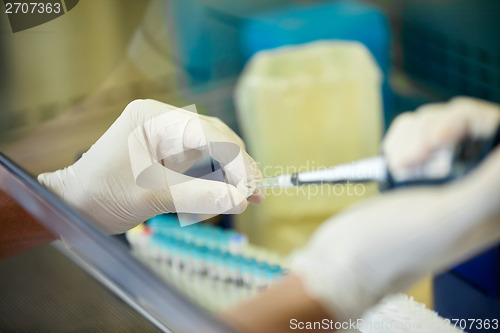 Image of Researcher Experimenting In Laboratory