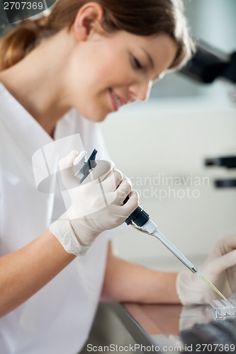 Image of Technician Using Pipette In Laboratory