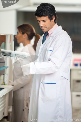 Image of Technician Analyzing Samples
