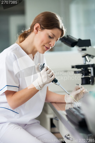 Image of Technician Using Pipette In Laboratory