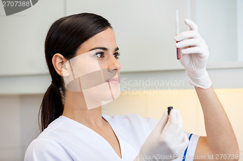 Image of Technician Examining Blood Sample