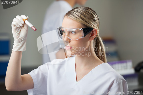 Image of Technician Testing Blood Sample In Lap