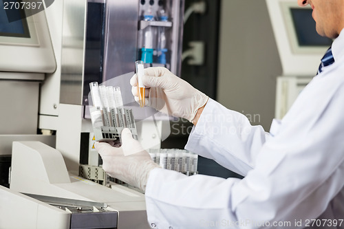 Image of Scientist Analyzing Urine Samples In Lab