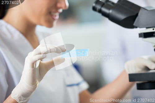 Image of Researcher Holding Slide While Using Microscope