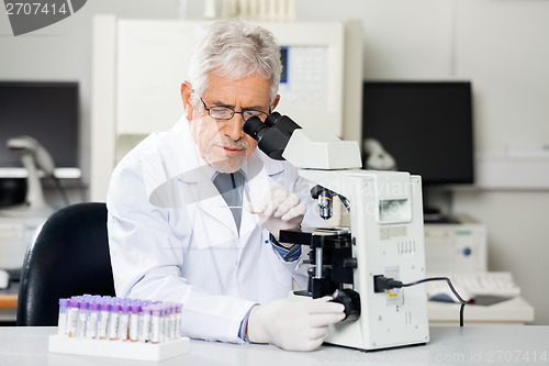 Image of Researcher Examining Microscope Slide In Lab