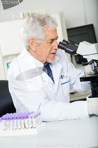 Image of Healthcare Worker Looking Into Microscope In Lab