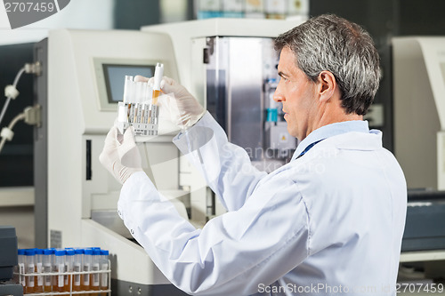 Image of Researcher Analyzing Urine Samples In Lab