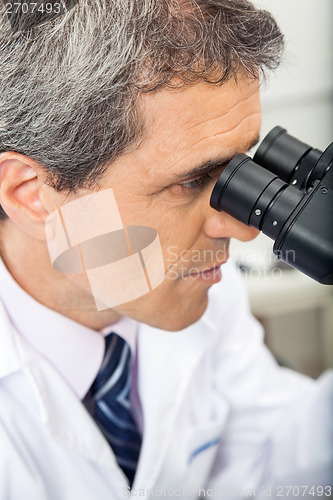 Image of Scientist Using Microscope In Lab