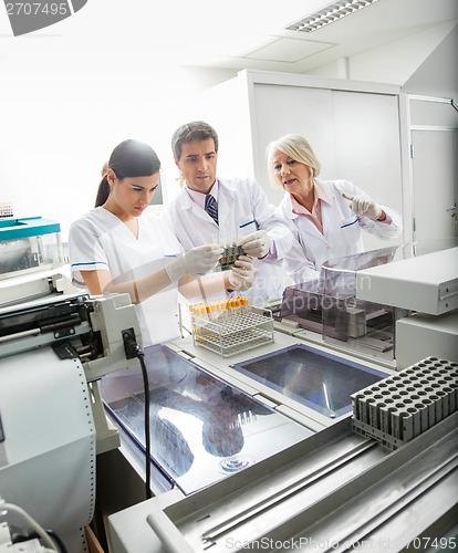 Image of Team Analyzing Samples In Laboratory