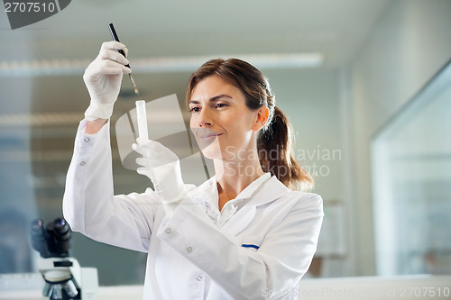 Image of Confident Scientist Examining Test Tube